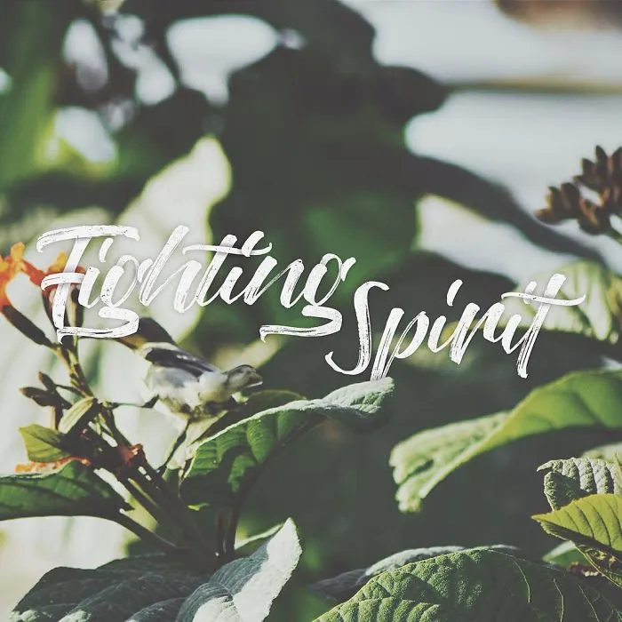 14 Year-Old Designer Brilliantly Combines His Handwriting With Striking Images