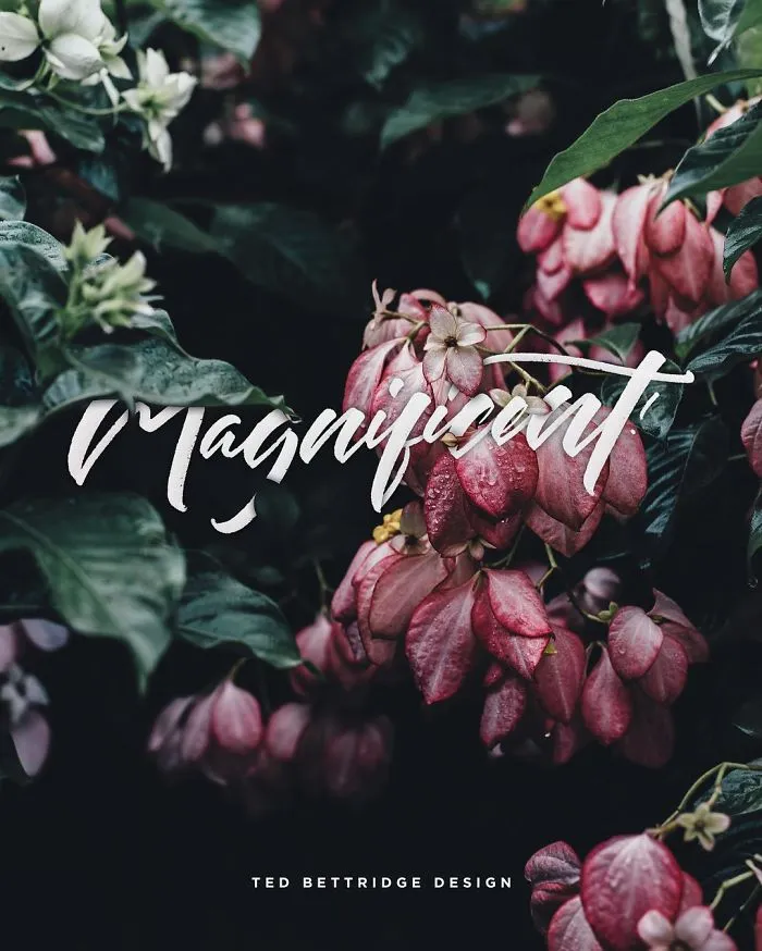 14 Year-Old Designer Brilliantly Combines His Handwriting With Striking Images