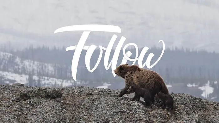 14 Year-Old Designer Brilliantly Combines His Handwriting With Striking Images