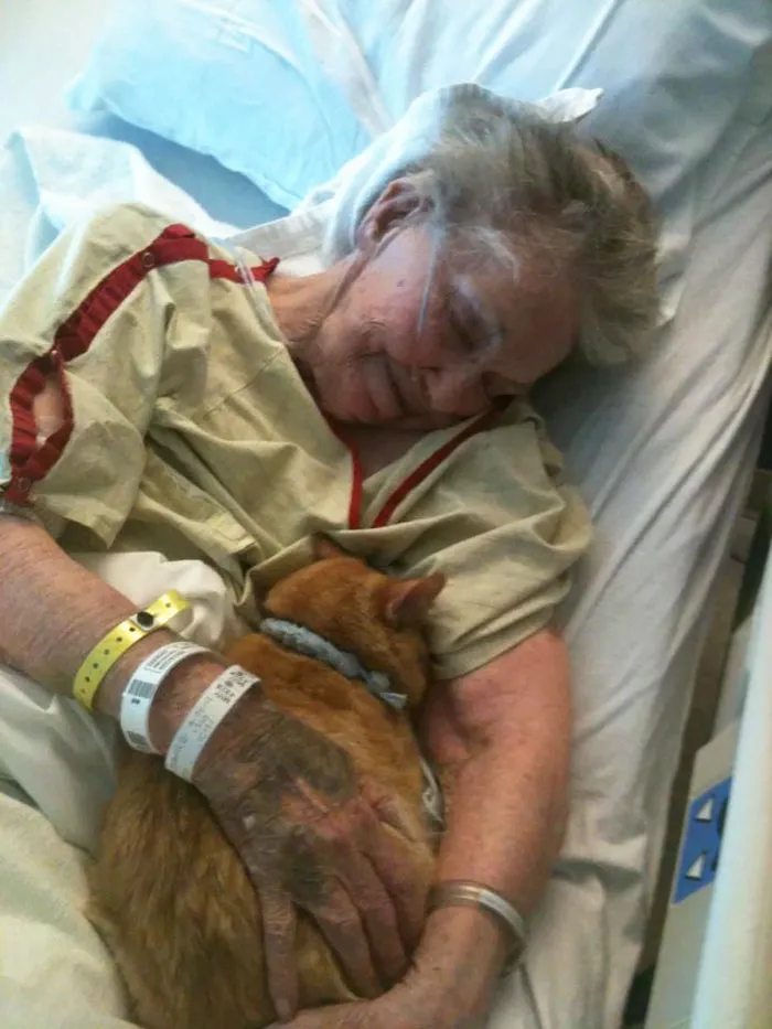 Su último deseo era ver a su gato Oliver para despedirse