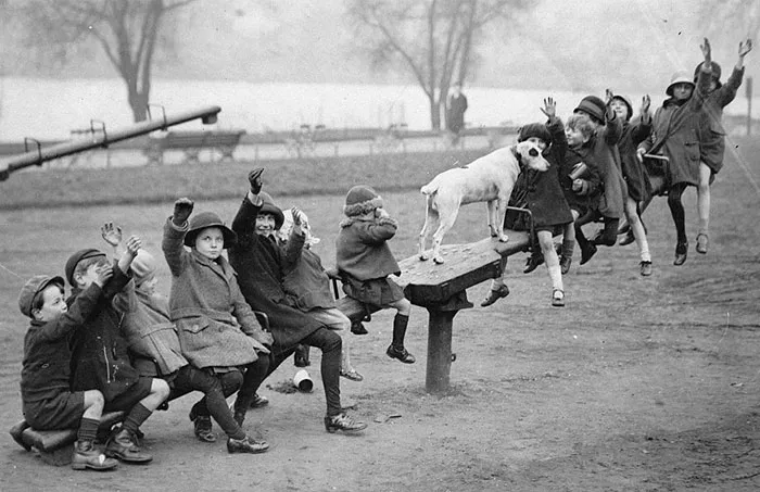 Even The Dog Gets A Go On This See-Saw, Northamptonshire