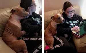 Woman Adopts A Pitbull, And The Dog Can't Stop Hugging Her