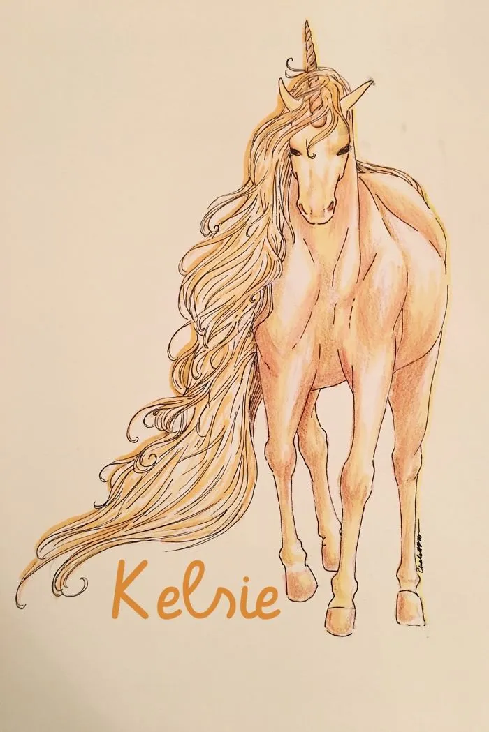 Hey Pandas, Our Reader Wants To Surprise Her Best Friend With A Unicorn, Let's Help Her