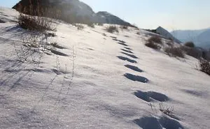 I Found These Footprint On The Peak
