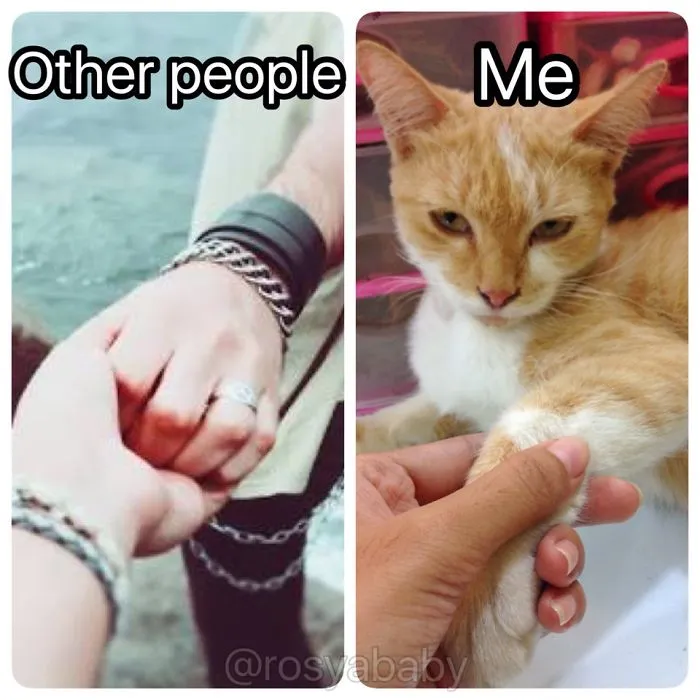 Single