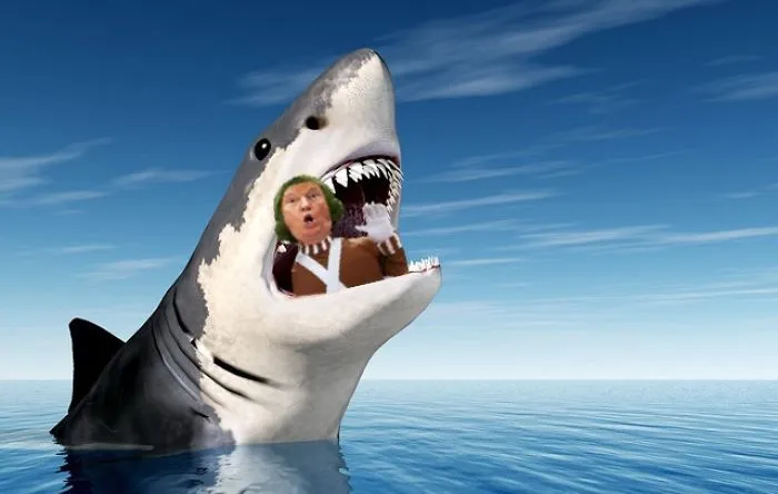 Trump And Great White