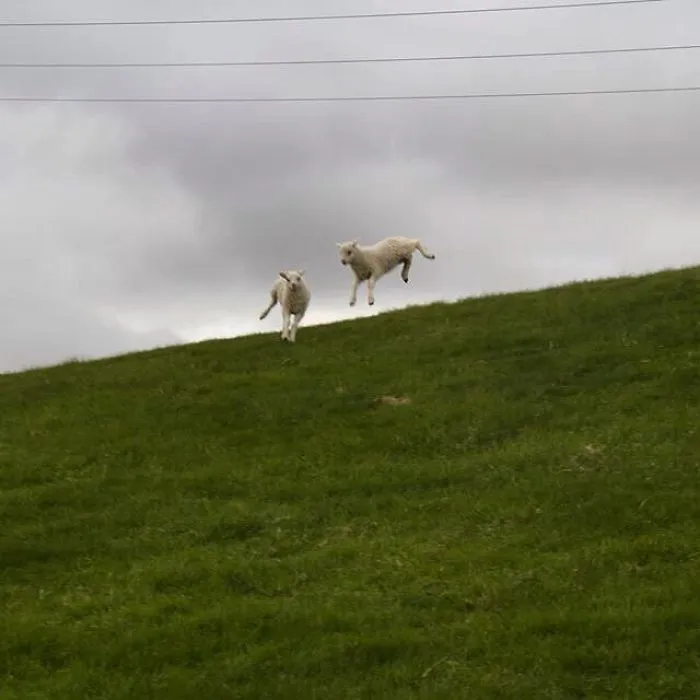 Jumping Skoppa & Skrítla