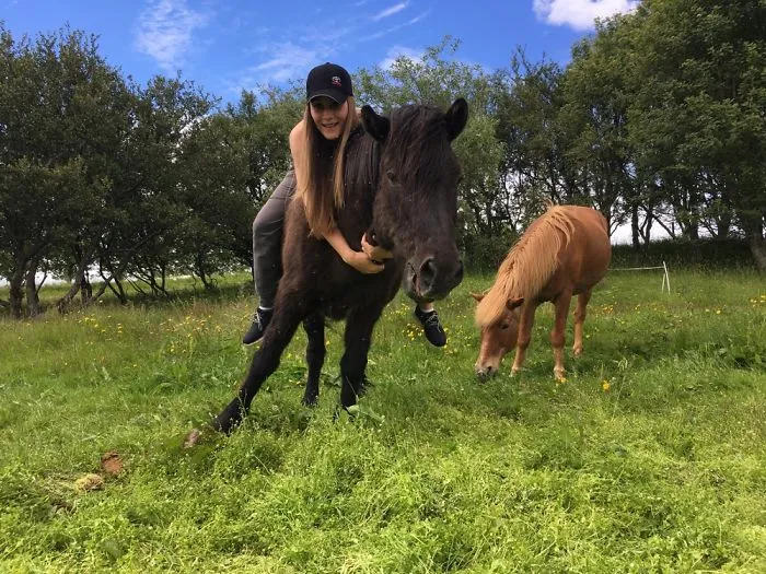 My Oldest Horse, He's Older Than Me