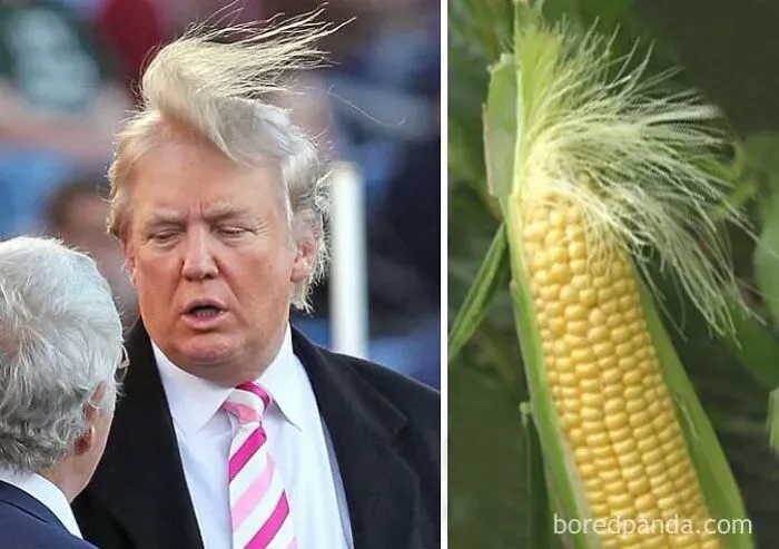 #trumptime