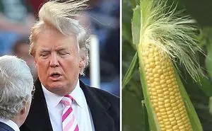 #trumptime
