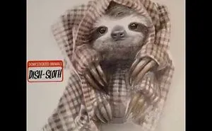 Dish Sloth