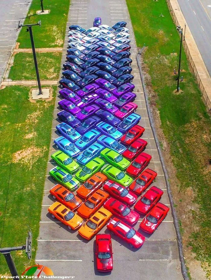 My Coworker Had This Picture Taken At A Dodge Charger Meet-Up He Helped Organize