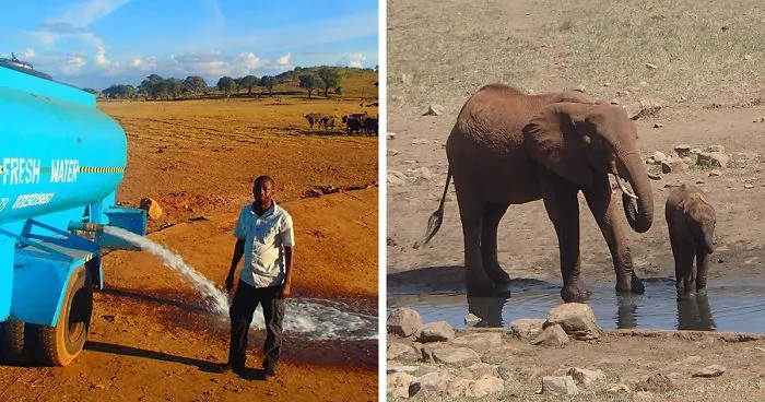 Every Day This Man Drives Hours In Drought To Provide Water To Thirsty Wild Animals