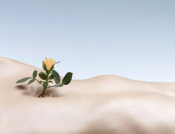 A Whole Ecosystem Lives In Your Belly Button