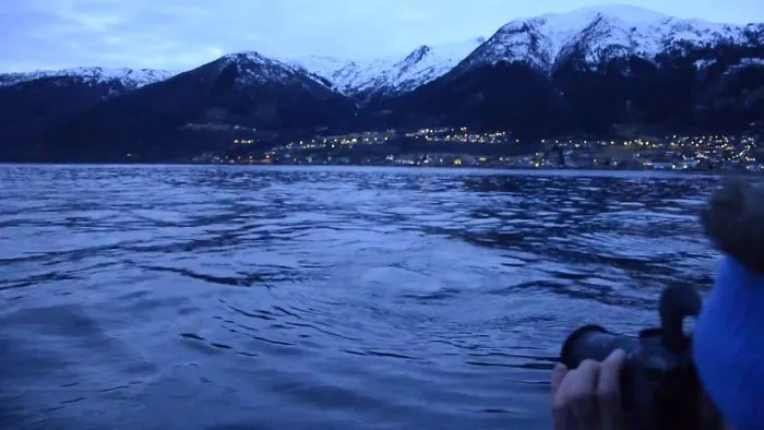 The Unexpected Whale Watching Adventure...