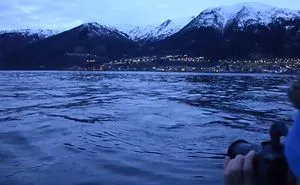 The Unexpected Whale Watching Adventure...