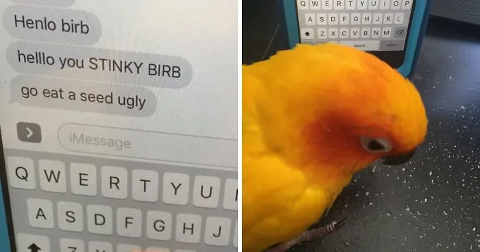 This Innocent Bird Just Got Cyberbullied, And His Reaction Says It All