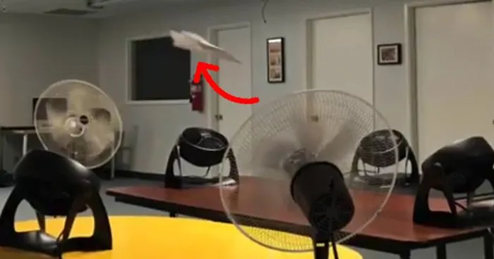 Perfect Paper Airplane Flight