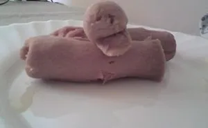 50 Of The Funniest Kitchen Fails Ever