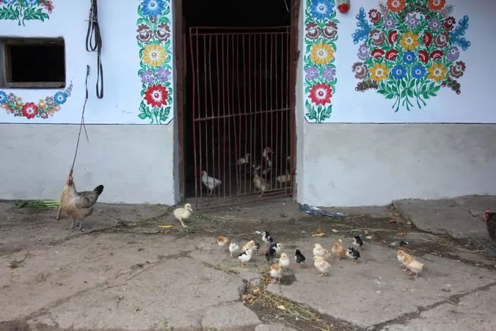 Little Polish Village Where Everything Is Covered In Colorful Flower Paintings