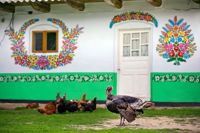 Little Polish Village Where Everything Is Covered In Colorful Flower Paintings