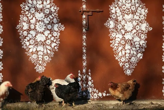 Little Polish Village Where Everything Is Covered In Colorful Flower Paintings