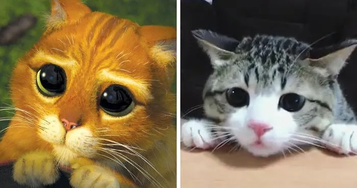 "Puss In Boots" Audition