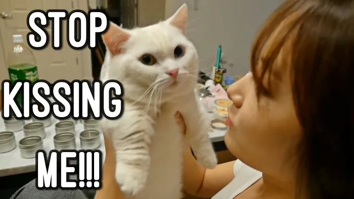 Cat Refuses Kiss From Beautiful Girl