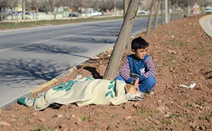 Refugee Boy Refuses To Leave Injured Stray Dog Until Help Arrives