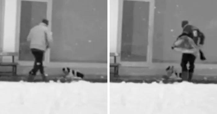 Security Cams Just Caught A Man Doing The Sweetest Thing For A Freezing Homeless Dog