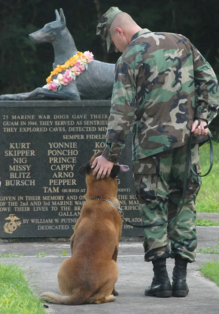U.S. NAVY Petty Officer  Blake Soller And His Military Working Dog Rico Pay Tribute To The National War Dog Cemetery
