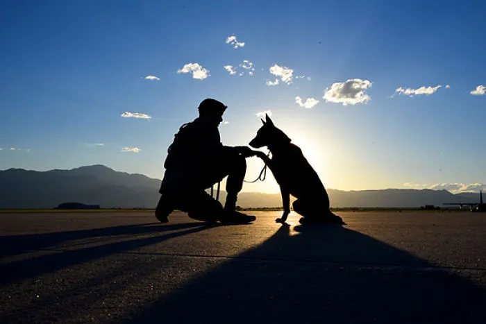 Senior Airman Tariq Russell  Shakes The Paw Of His Partner