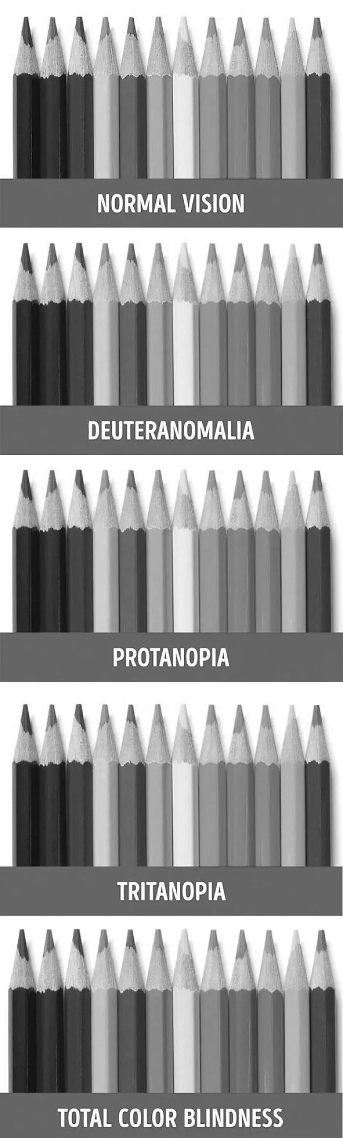Check If You Are Colorblind With This Useful Image