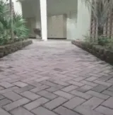 Best Companion
