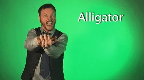 2,000 GIFs Of Sign Language That Are Hilariously Easy To Learn