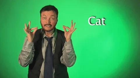 2,000 GIFs Of Sign Language That Are Hilariously Easy To Learn