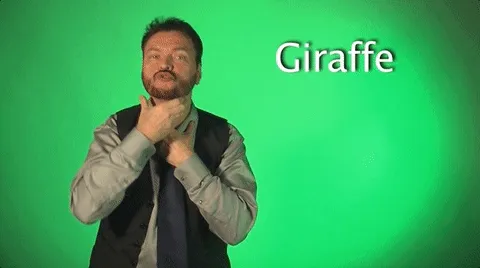 2,000 GIFs Of Sign Language That Are Hilariously Easy To Learn