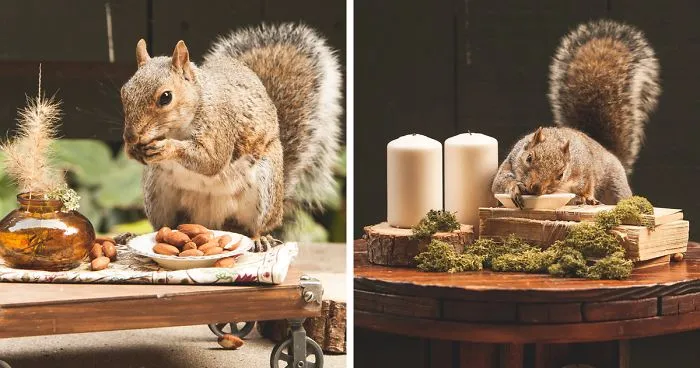 This Woman Throws Miniature Parties For Squirrels Who Come To Visit Her
