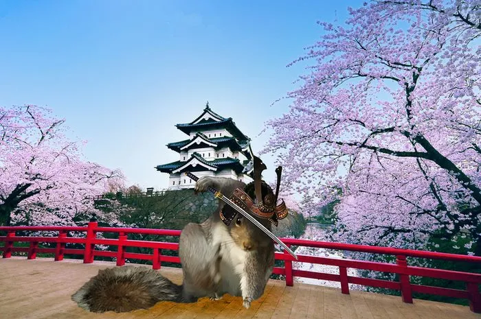 Samurai Squirrel