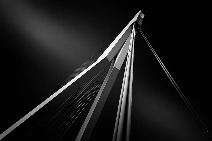 The Erasmus Bridge In Rotterdam