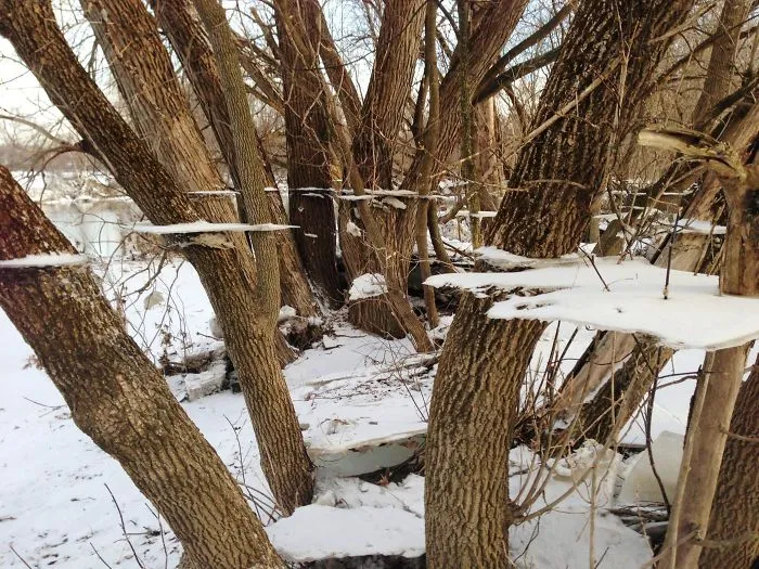 Extraño efecto del hielo tras una inundación