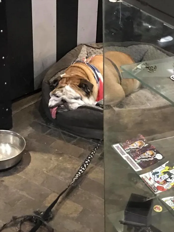 So Tired He's Melting