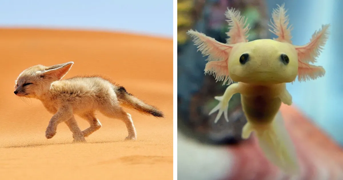40 Unique Animals and Their Babies for Your Daily Dose of Cuteness