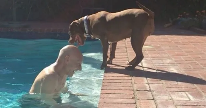 Patrick Stewart Meets His New Foster Pit Bull, Falls In Love Immediately