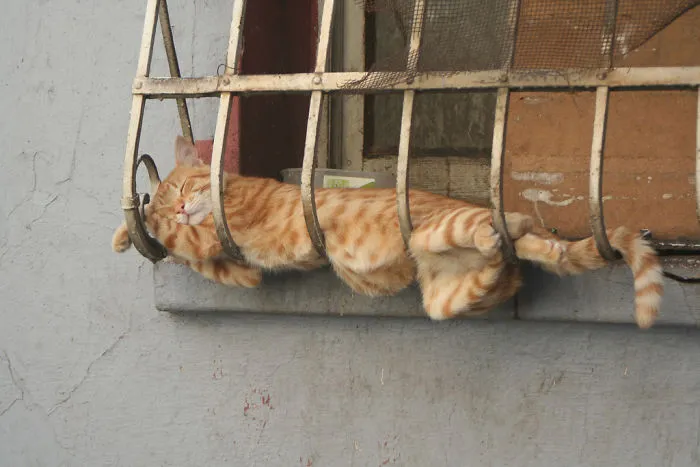 No Prob, It's Comfortable Enough