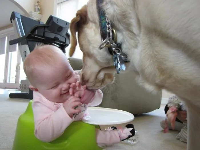 My Niece And My Pup Meeting For The First Time