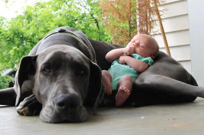 My Baby, Not Yours