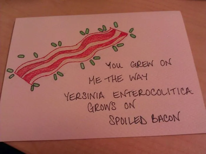 The Card My Girlfriend Made Me For Valentine's Day