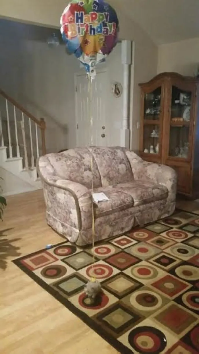To Not Lose A Baby Kitten In The House, My Dad Does This