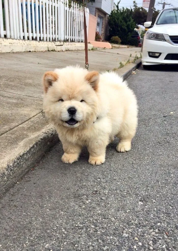 (^∇^)